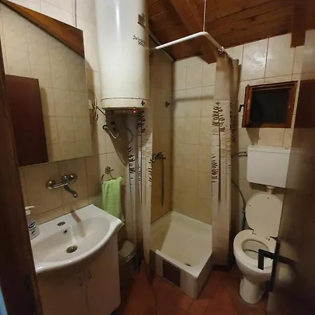 Alpesi faház Brvnara Lenka Temerin